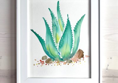Aloe Succulent Watercolor