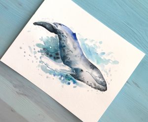Humpback Whale Watercolor