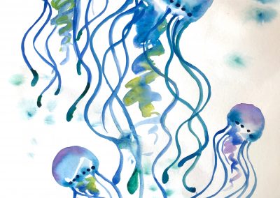 Jellyfish Illustrations