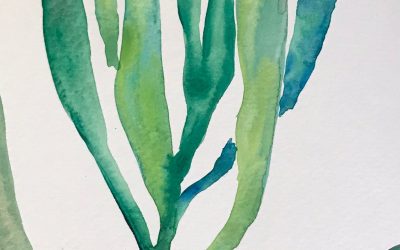 New Succulent Botanical Watercolors!