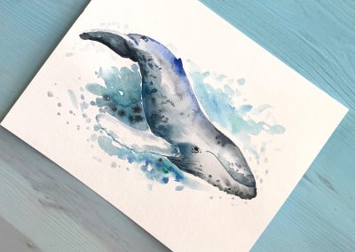 Humpback Whale Watercolor