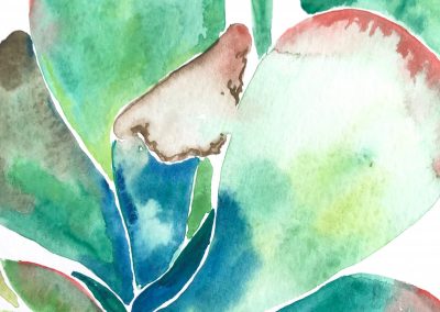 Succulent Watercolor